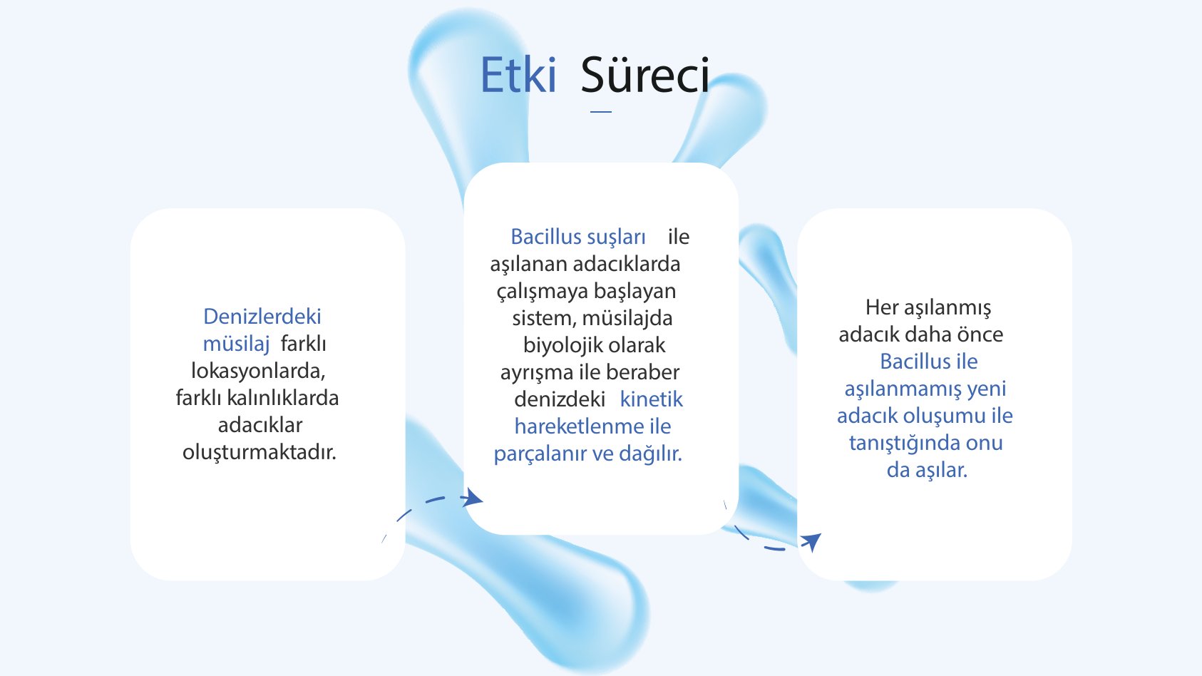 Deniz Salyası Sunumu 5